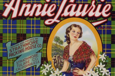 Vintage Fruit Crate Label